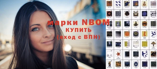 mdpv Бородино
