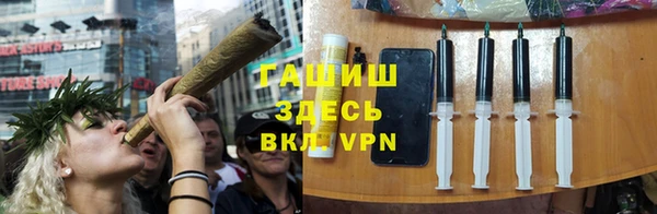 mdpv Бородино