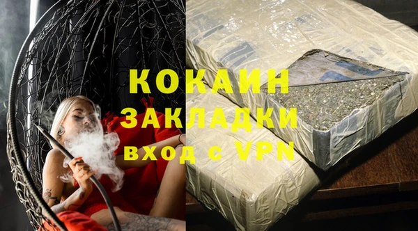 mdpv Бородино