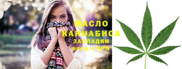 mdpv Бородино
