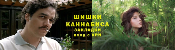 прущий лед Богданович