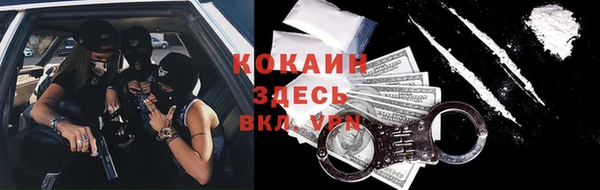mdpv Бородино