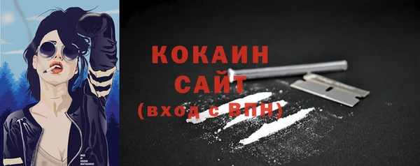 стаф Бронницы