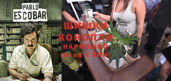 прущий лед Богданович