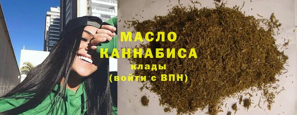прущий лед Богданович