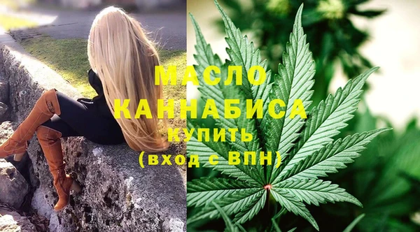 mdpv Бородино