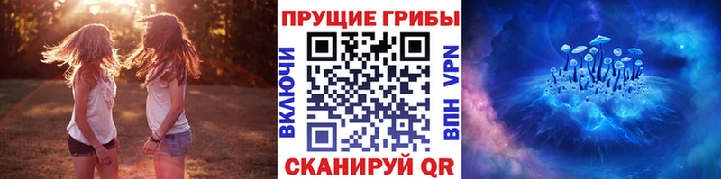 Галлюциногенные грибы мицелий  Велиж 